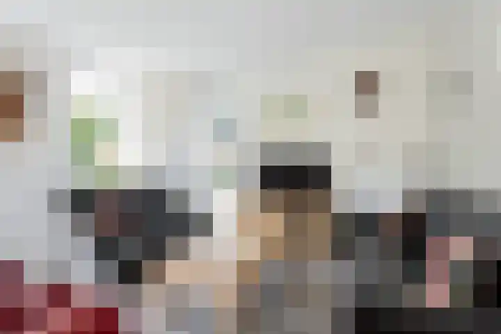 Bremstraat 18 Zevenhuizen thumbnail 8