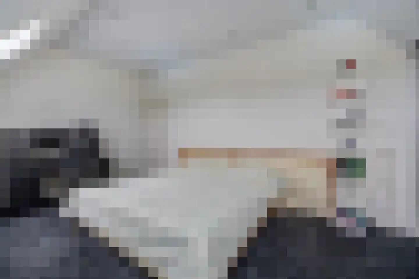 Bremstraat 194 St. Willebrord thumbnail 46