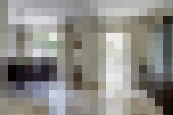 Bremstraat 20 Waalwijk thumbnail 12
