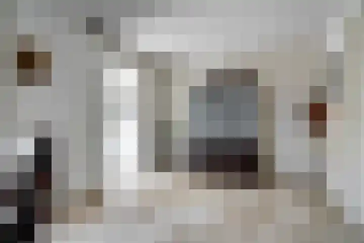 Bremstraat 20 Waalwijk thumbnail 13