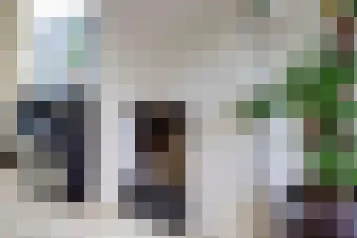 Bremstraat 20 Waalwijk thumbnail 14