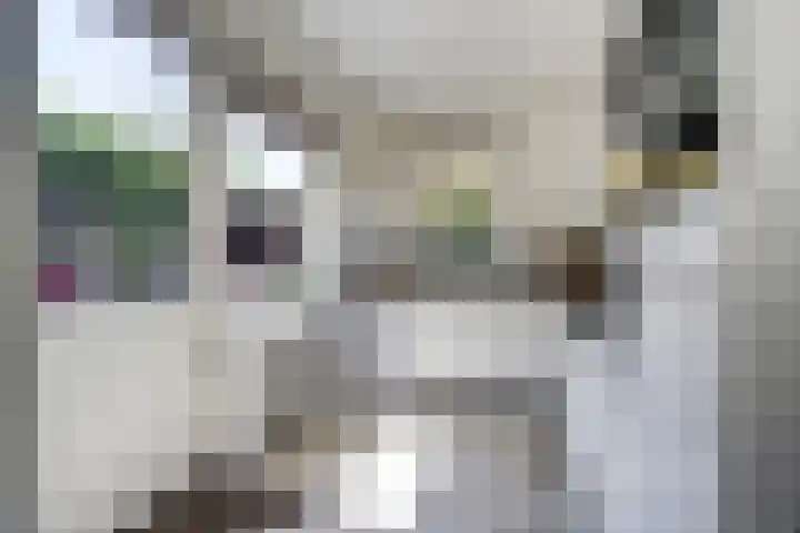 Bremstraat 20 Waalwijk thumbnail 15