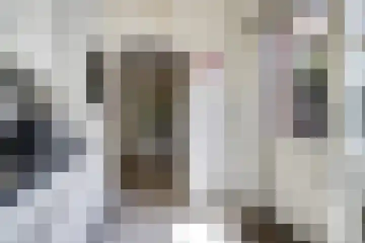 Bremstraat 20 Waalwijk thumbnail 16