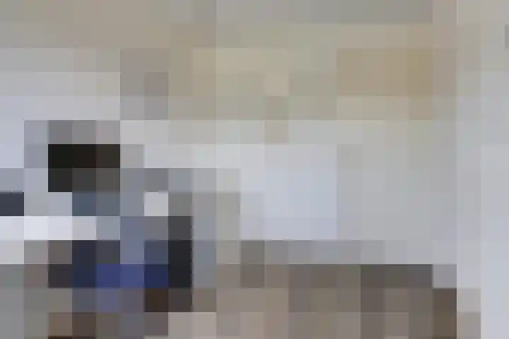 Bremstraat 20 Waalwijk thumbnail 20