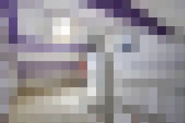 Bremstraat 20 Waalwijk thumbnail 27