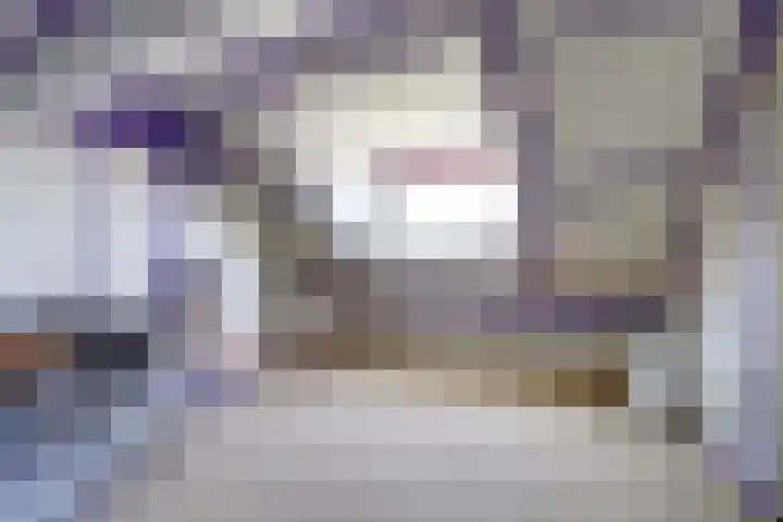 Bremstraat 20 Waalwijk thumbnail 29