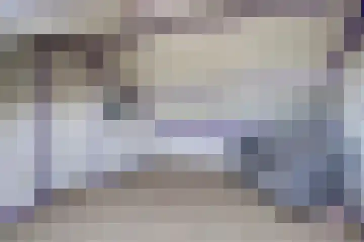 Bremstraat 20 Waalwijk thumbnail 30