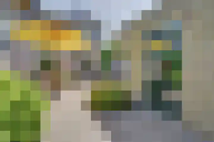 Bremstraat 20 Waalwijk thumbnail 33
