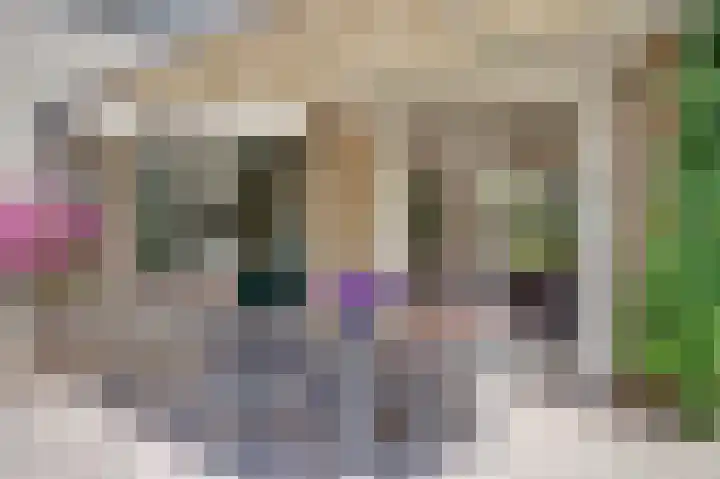 Bremstraat 20 Waalwijk thumbnail 35