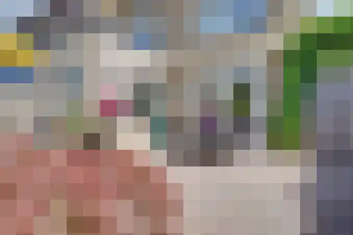 Bremstraat 20 Waalwijk thumbnail 36