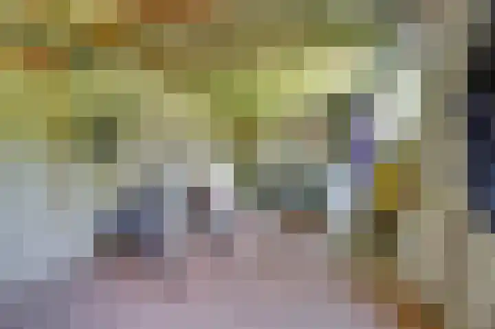 Bremstraat 20 Waalwijk thumbnail 37