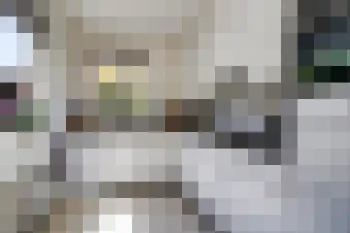 Bremstraat 20 Waalwijk thumbnail 4