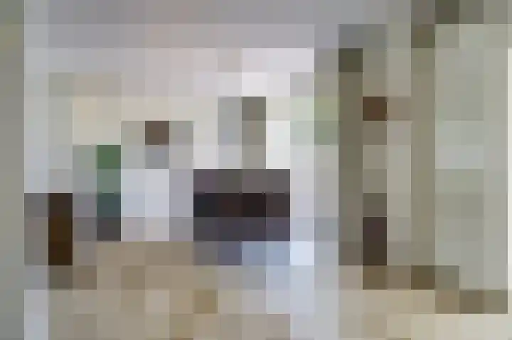 Bremstraat 20 Waalwijk thumbnail 5