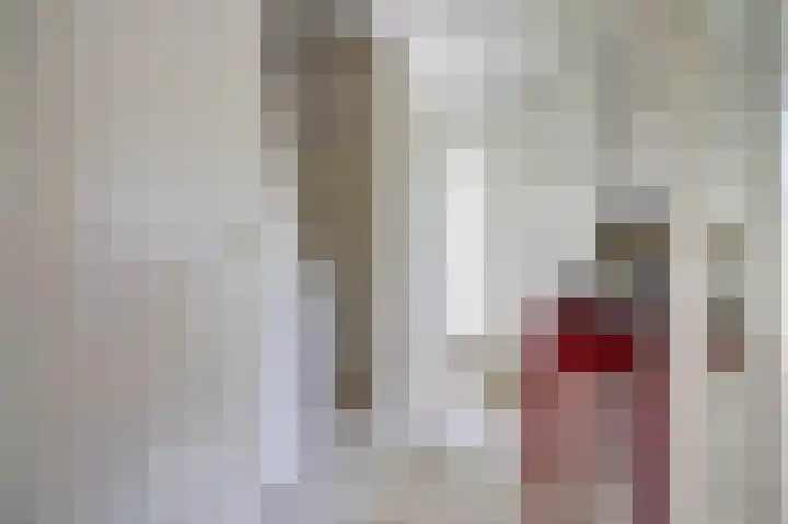 Bremstraat 20 Waalwijk thumbnail 8