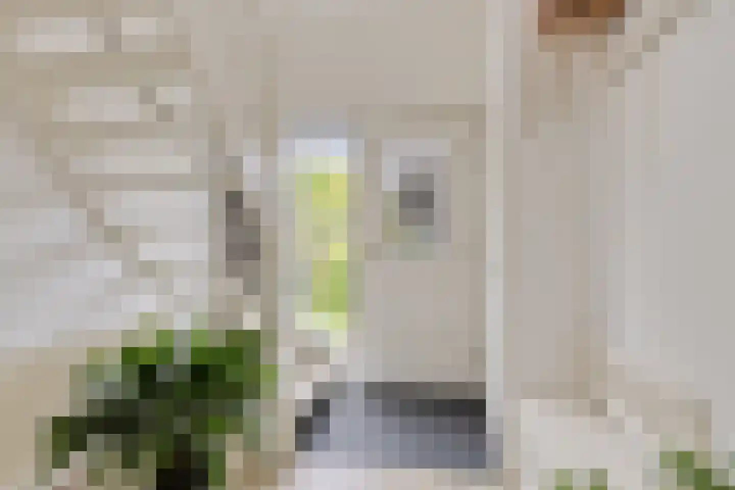 Bremstraat 20 Wolvega thumbnail 16