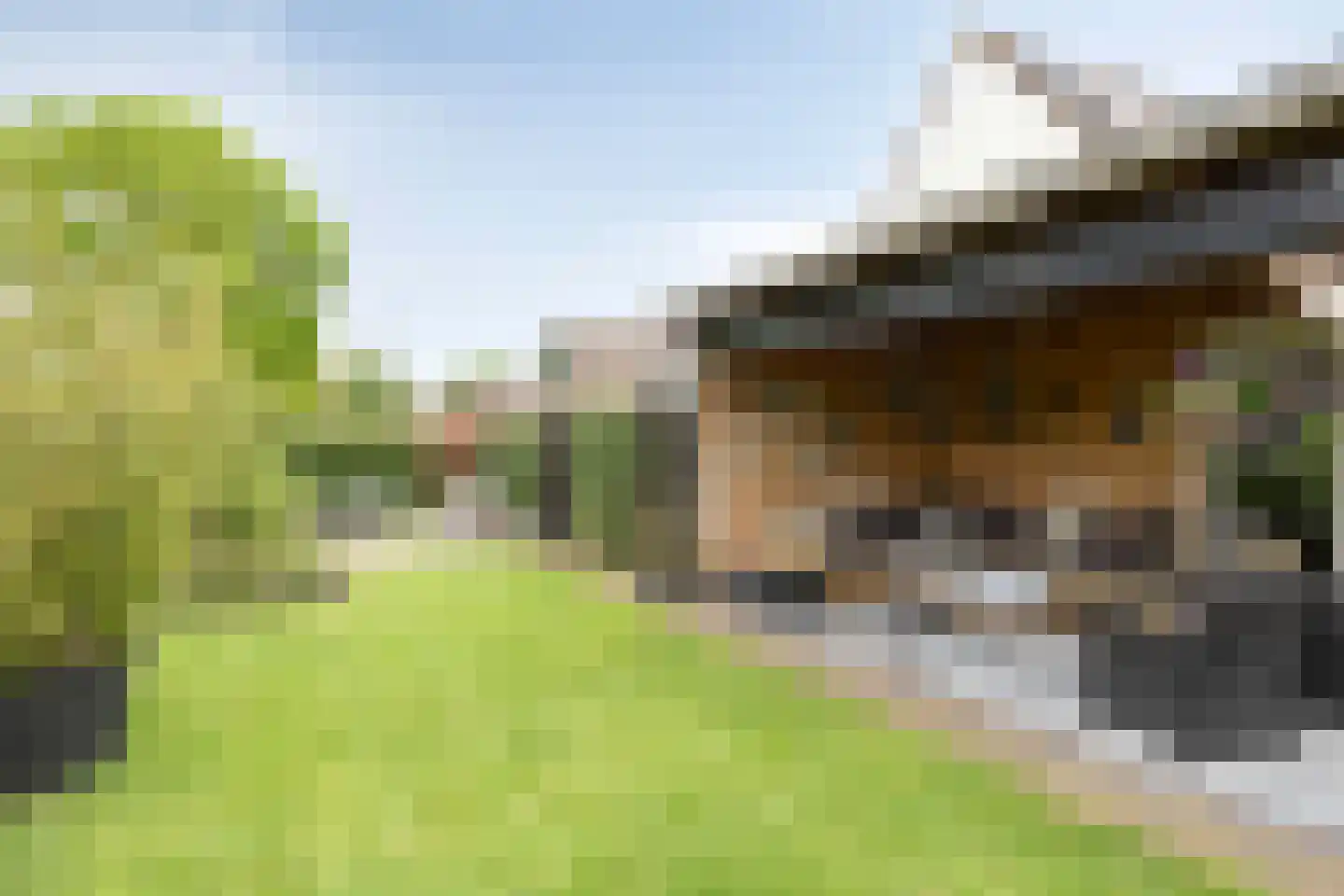 Bremstraat 20 Wolvega thumbnail 33
