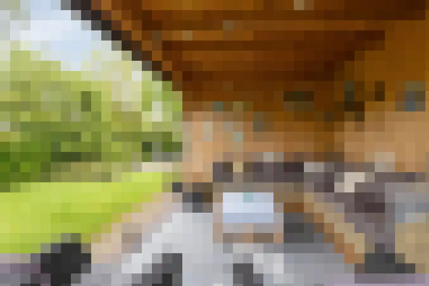 Bremstraat 20 Wolvega thumbnail 34