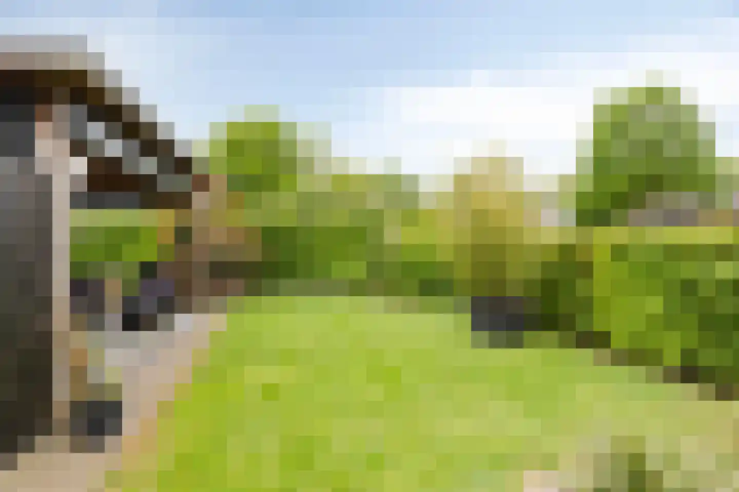 Bremstraat 20 Wolvega thumbnail 35
