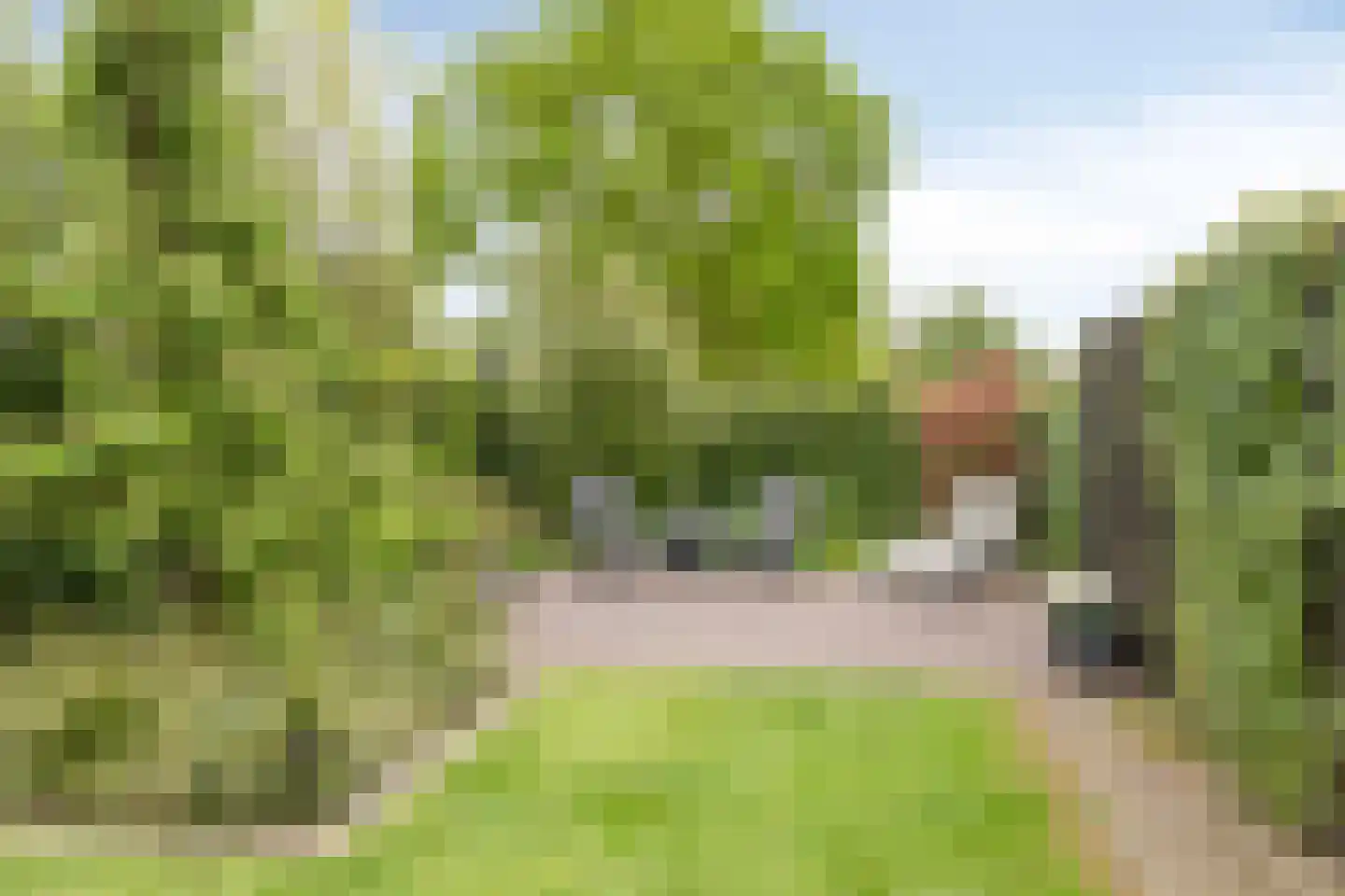 Bremstraat 20 Wolvega thumbnail 36