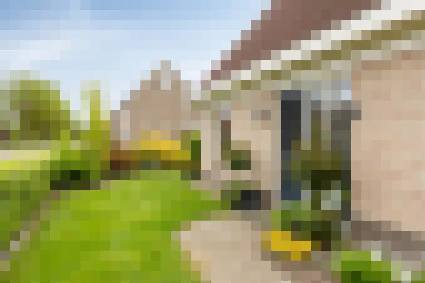 Bremstraat 20 Wolvega thumbnail 38