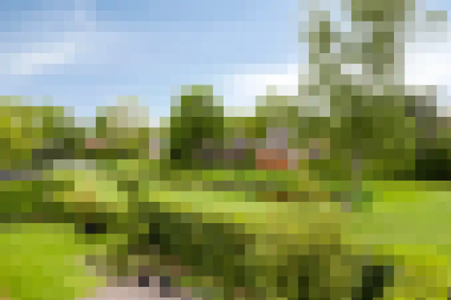 Bremstraat 20 Wolvega thumbnail 44
