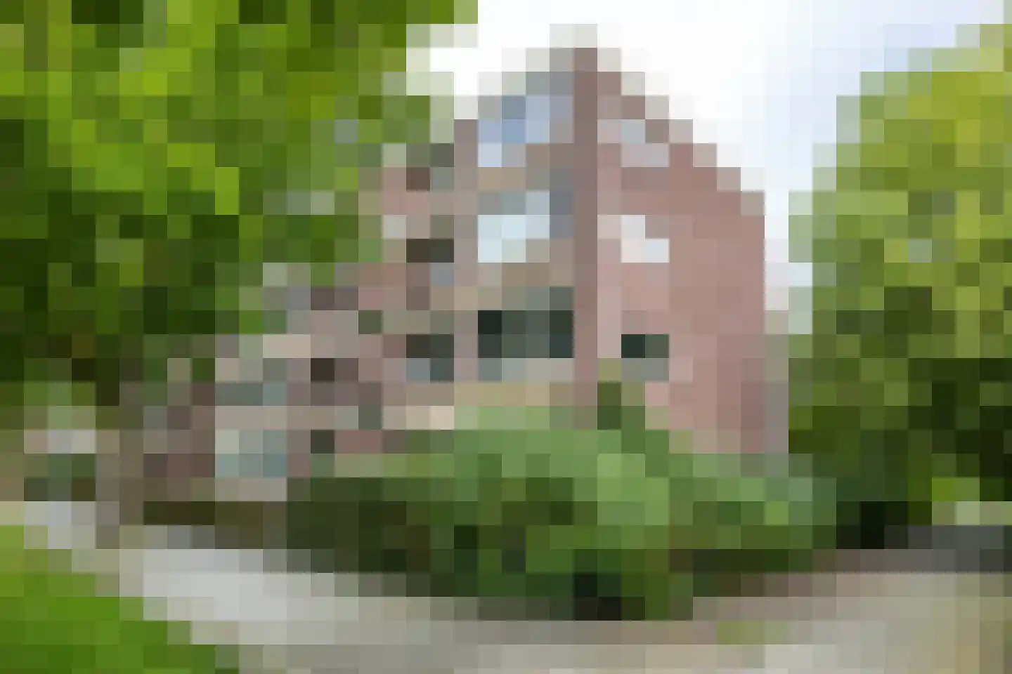 Bremstraat 21 in Groningen