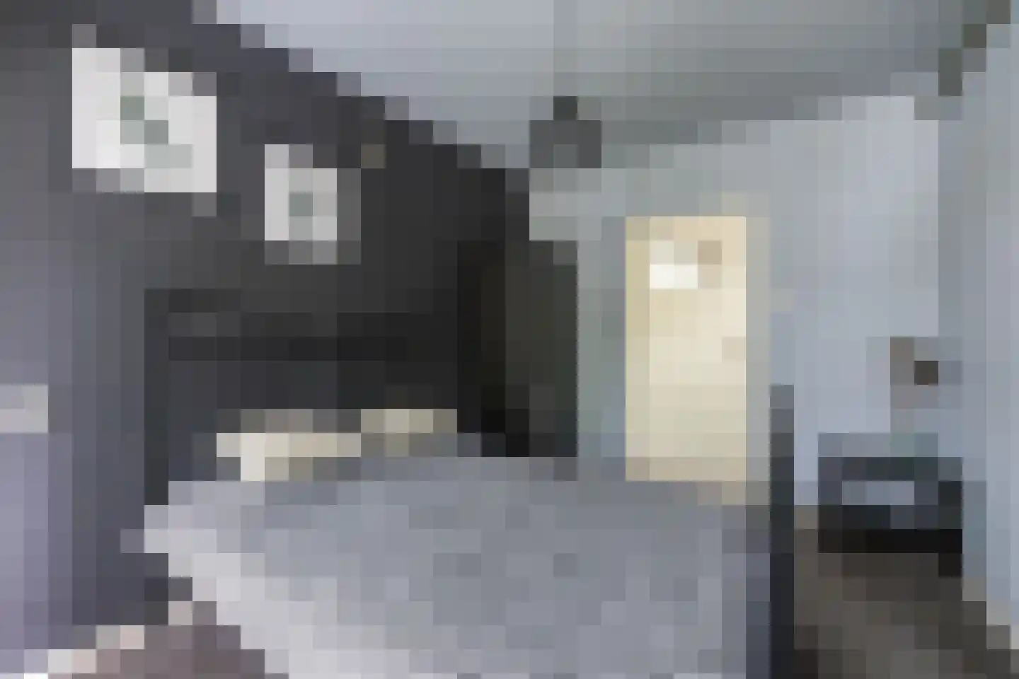 Bremstraat 21 Groningen thumbnail 14