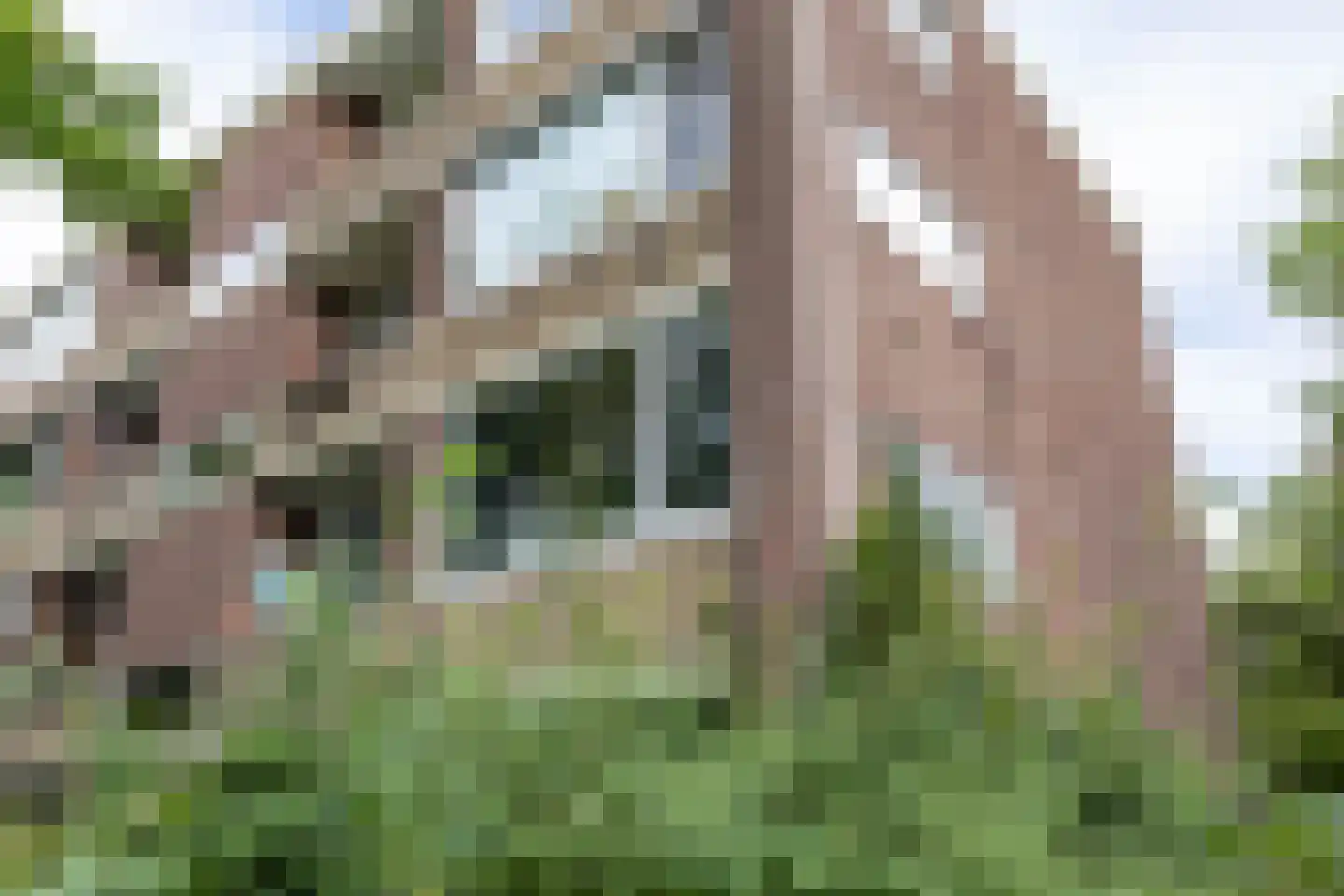 Bremstraat 21 Groningen thumbnail 20