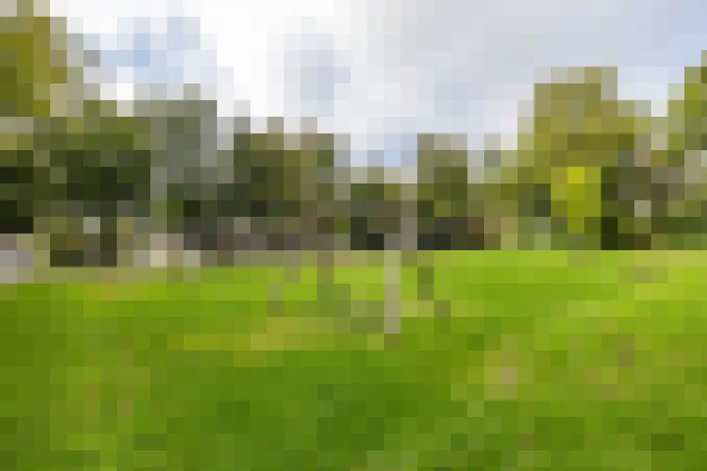 Bremstraat 21 Groningen thumbnail 22
