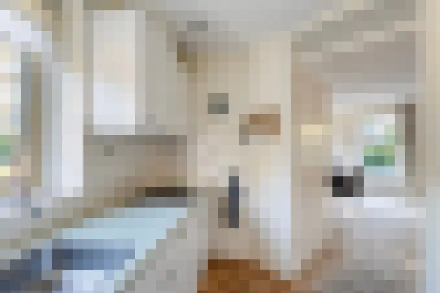 Bremstraat 22 Assen thumbnail 20