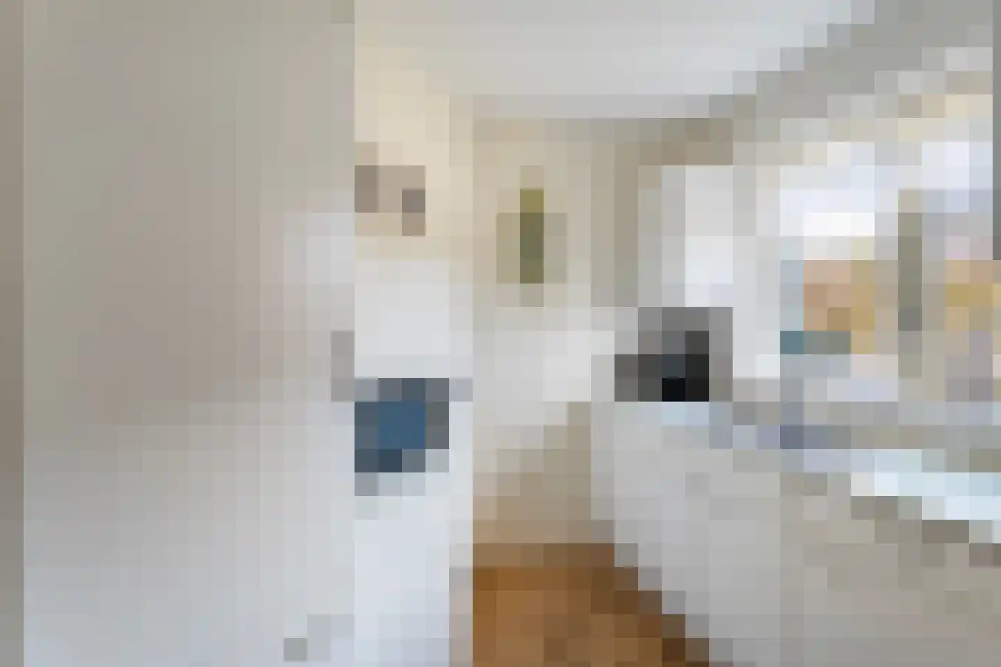 Bremstraat 22 Assen thumbnail 22