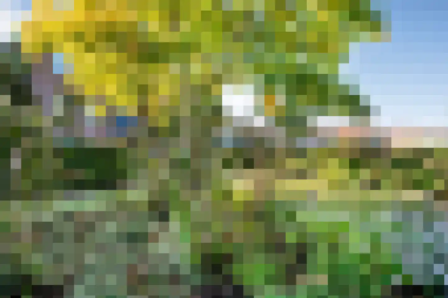 Bremstraat 22 Assen thumbnail 31