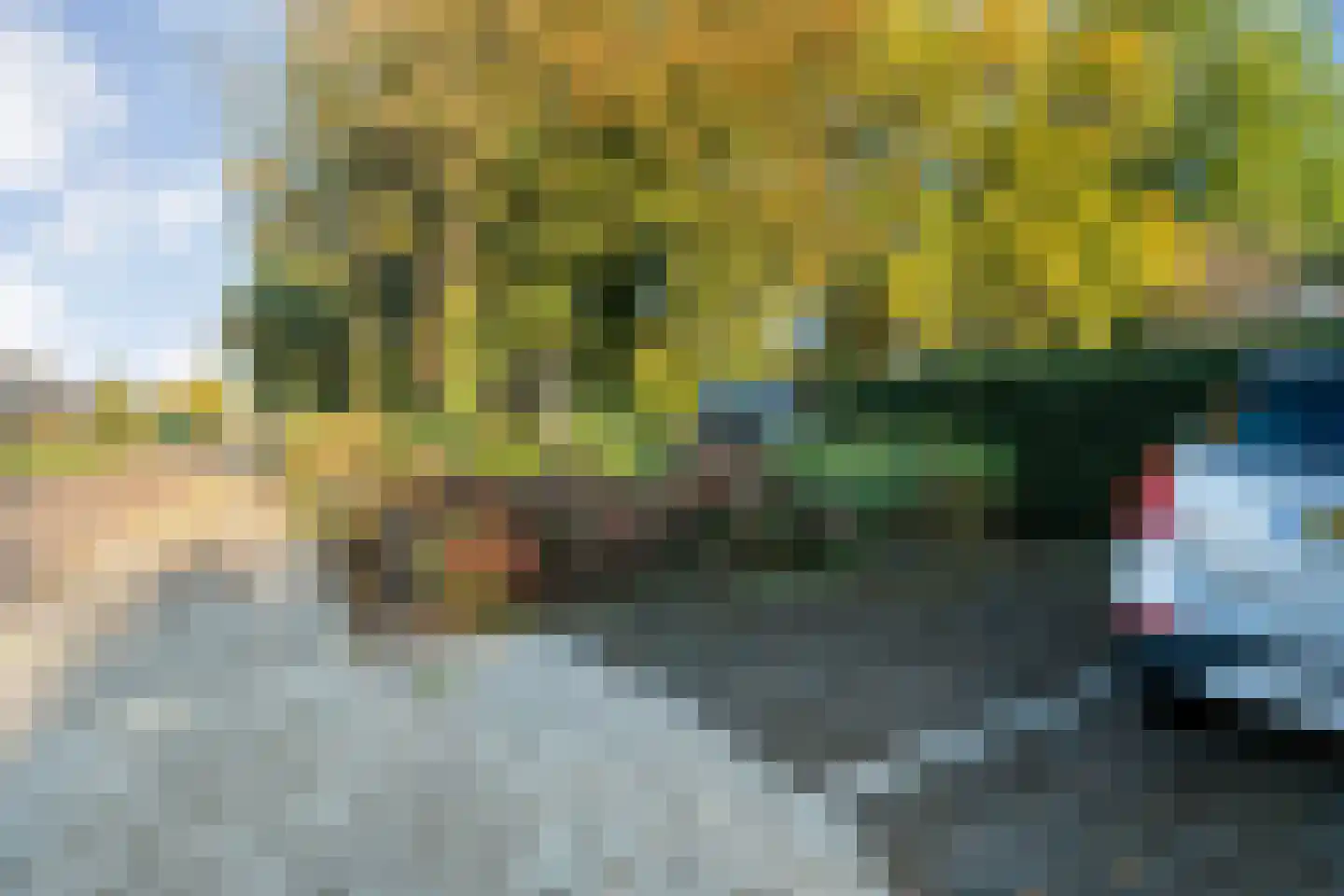 Bremstraat 22 Assen thumbnail 37