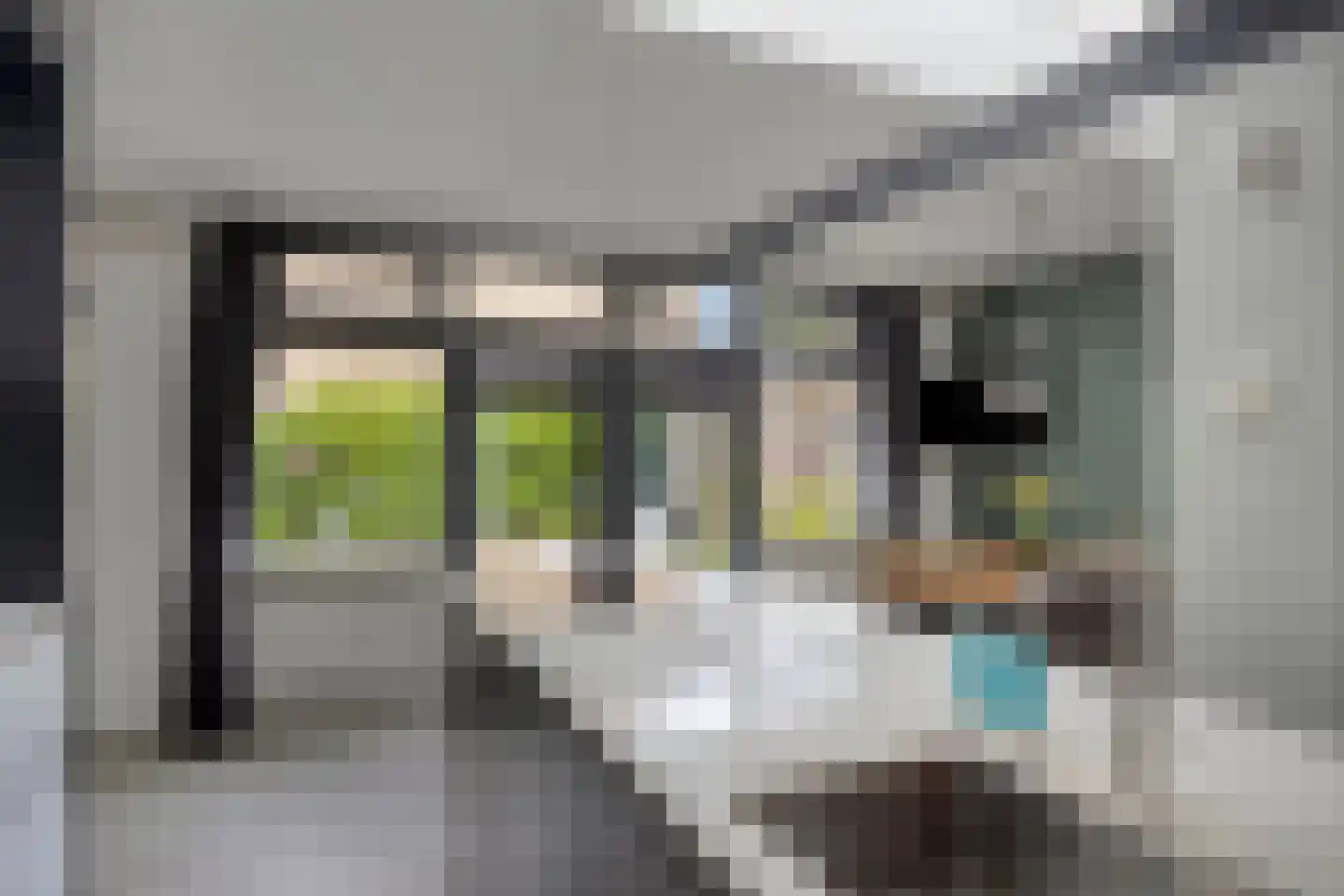 Bremstraat 24 Borne thumbnail 10