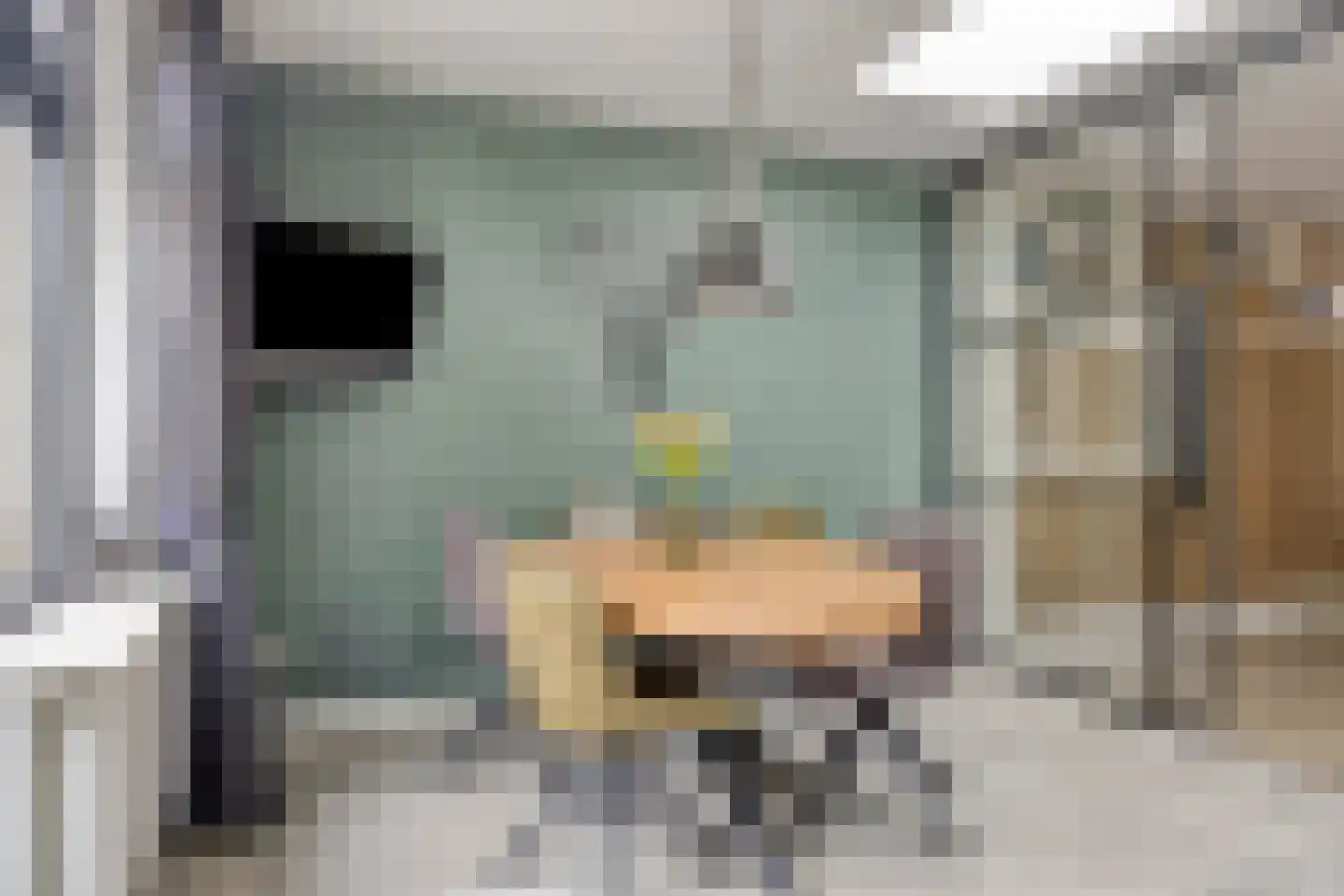 Bremstraat 24 Borne thumbnail 13