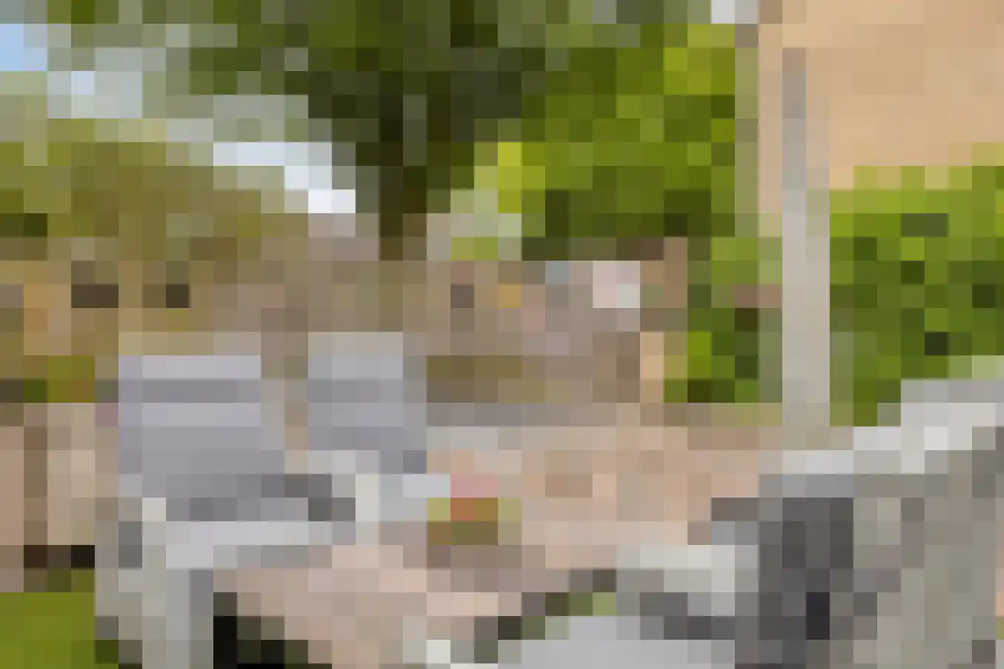 Bremstraat 24 Borne thumbnail 27