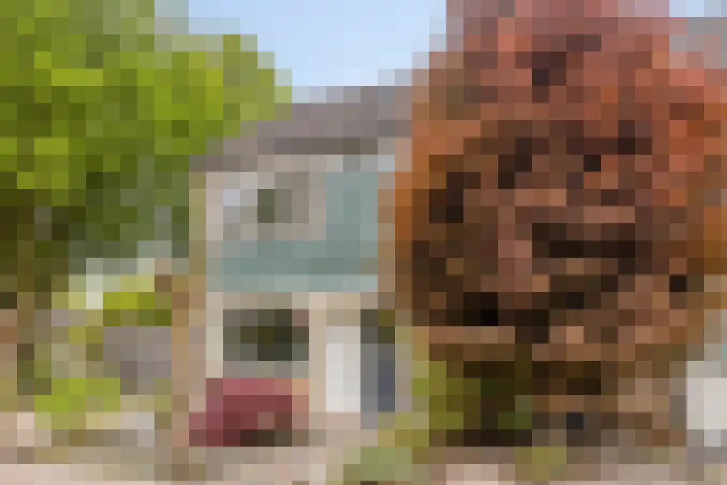 Bremstraat 24 Borne thumbnail 30
