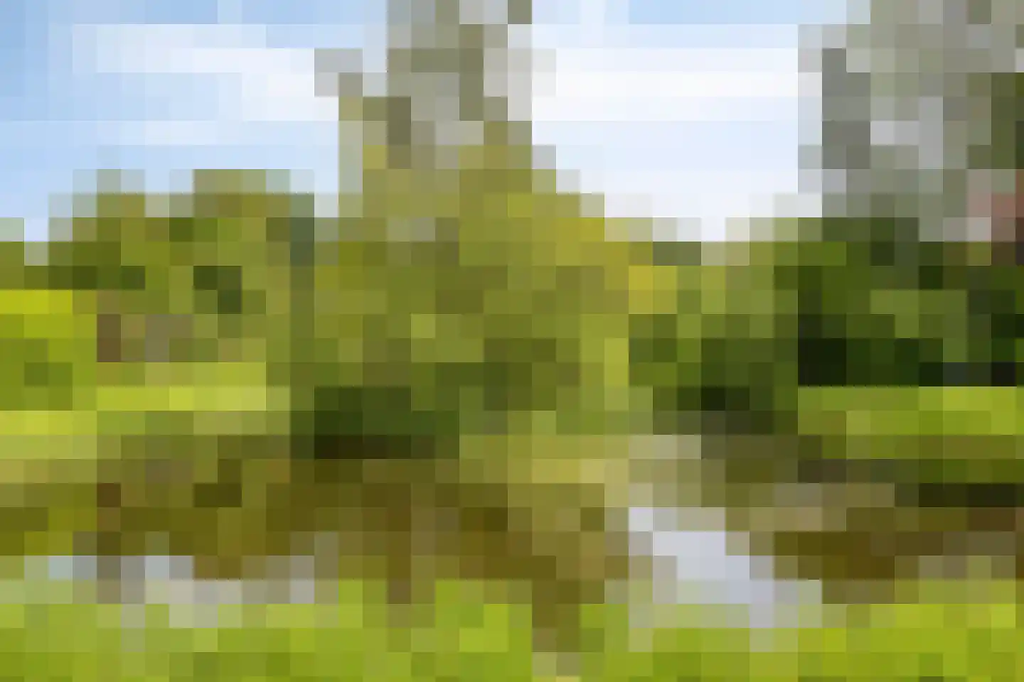 Bremstraat 24 Borne thumbnail 32
