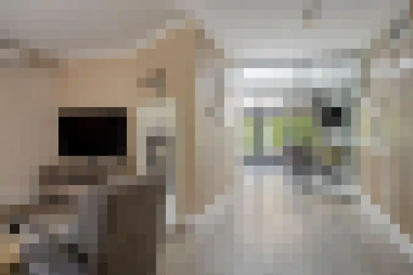 Bremstraat 24 Borne thumbnail 8