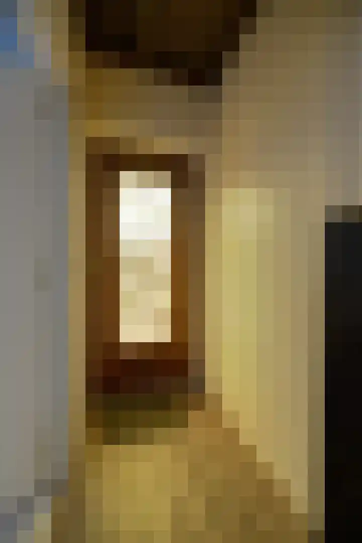Bremstraat 24 St. Willebrord thumbnail 6