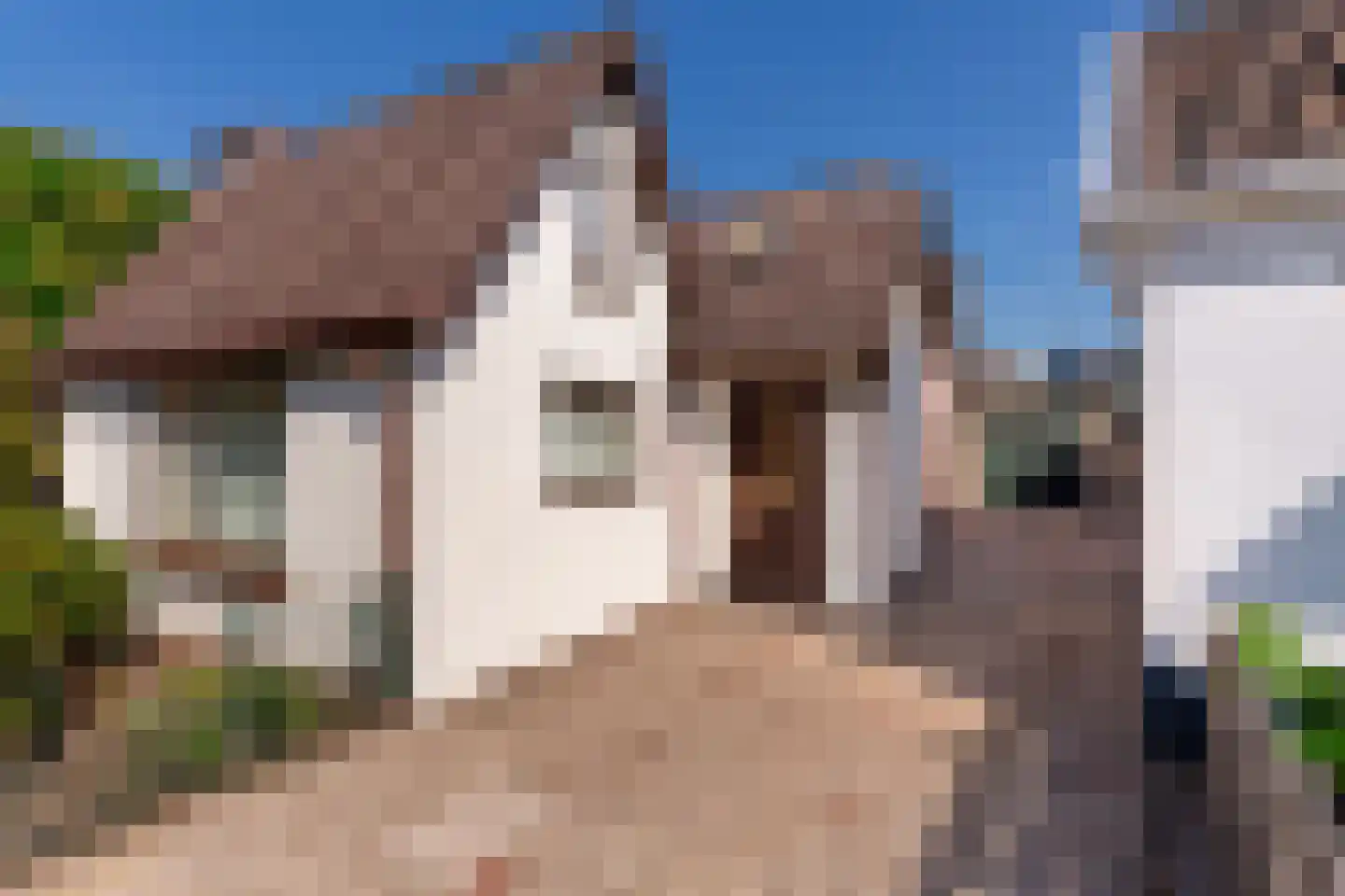 Bremstraat 3 Baarn thumbnail 25