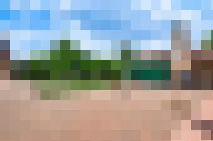 Bremstraat 3 Nederweert thumbnail 4