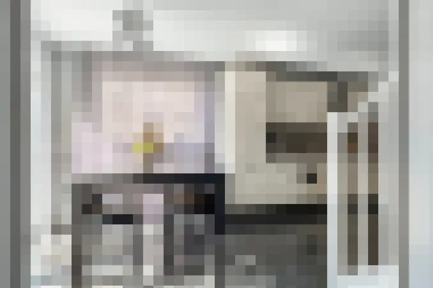 Bremstraat 3 St. Willebrord thumbnail 14