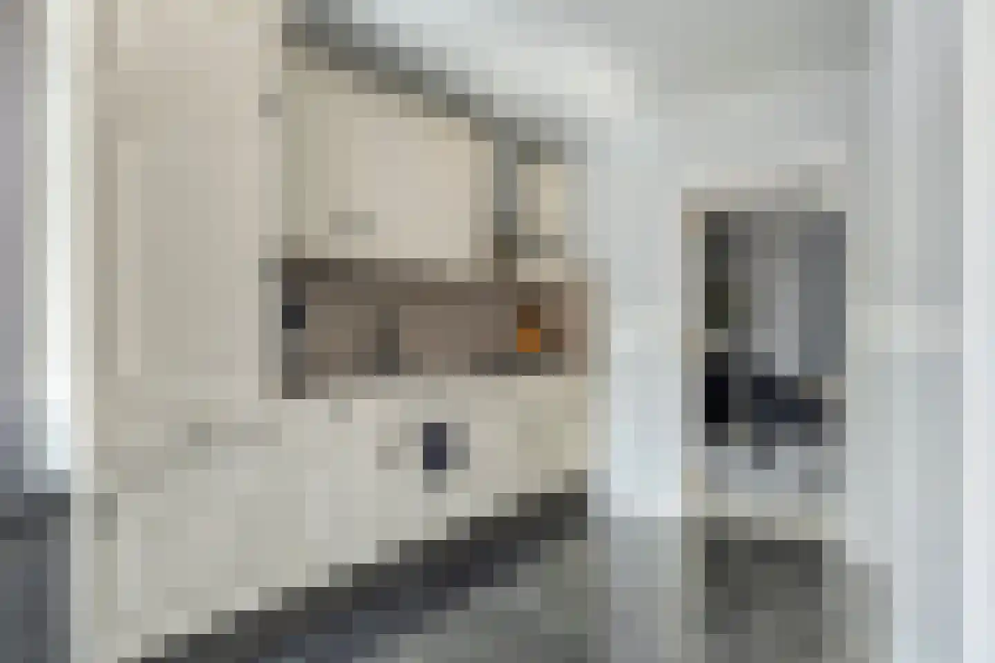 Bremstraat 3 St. Willebrord thumbnail 15