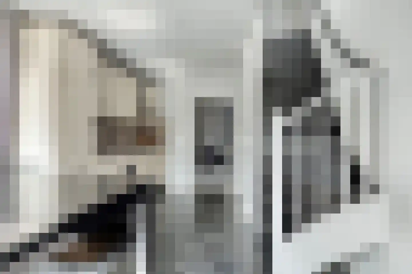 Bremstraat 3 St. Willebrord thumbnail 17