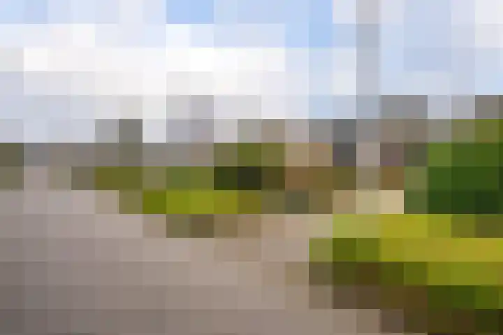 Bremstraat 34 Bovensmilde thumbnail 6