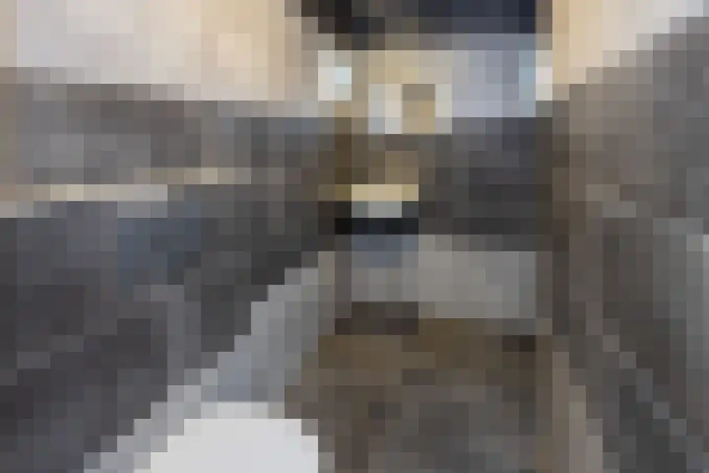 Bremstraat 34 Neede thumbnail 21