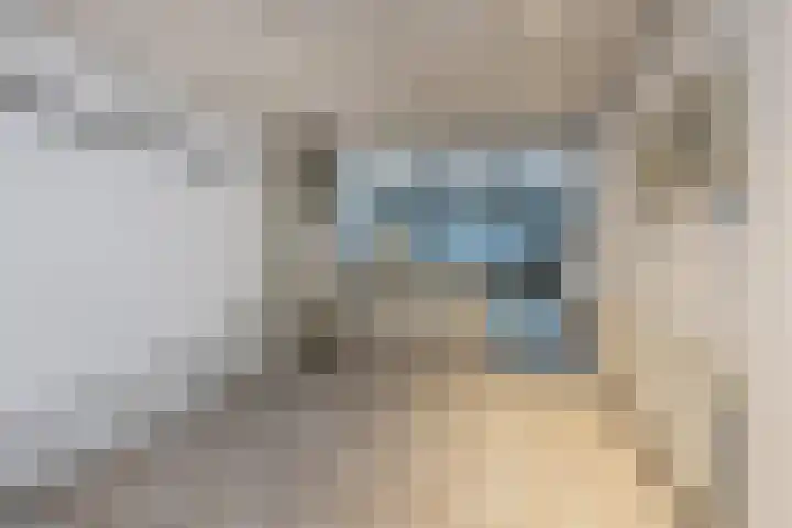 Bremstraat 34 Neede thumbnail 27
