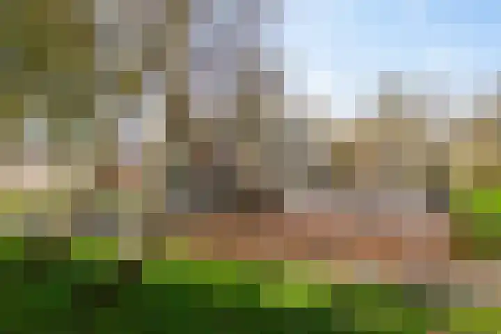 Bremstraat 35 Groningen thumbnail 22
