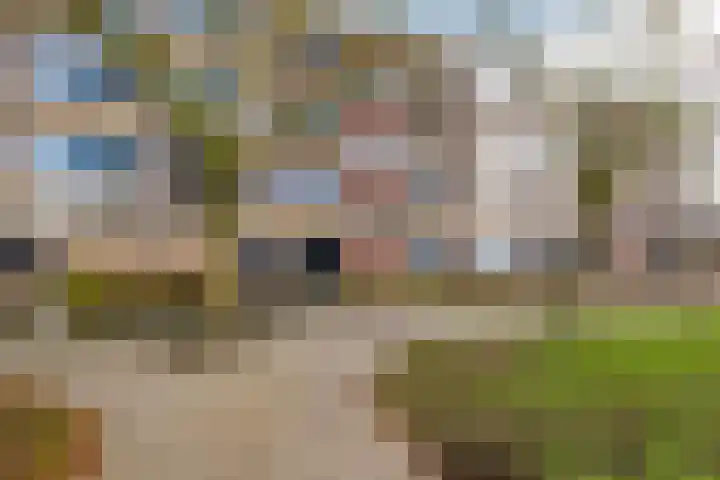 Bremstraat 35 Groningen thumbnail 6